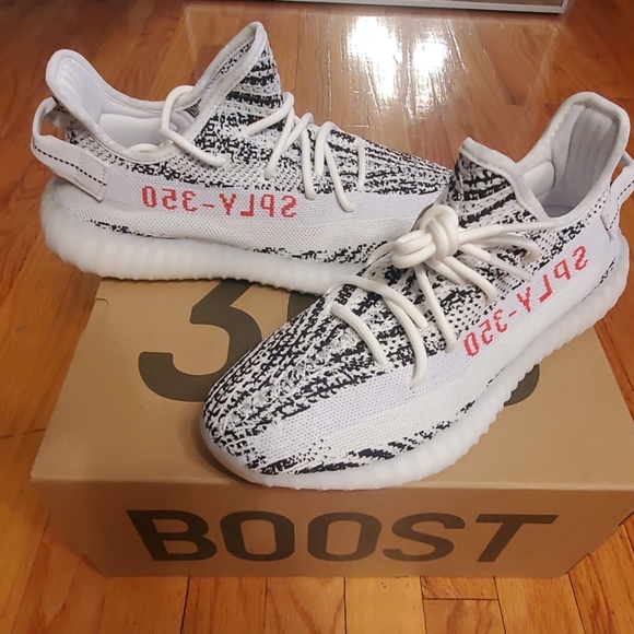 Yeezy Other - Yeezy 350 v2 Zeebra